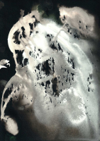 http://www.actionaqua.com/files/gimgs/th-121_Scan 13invert_v2.jpg